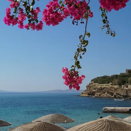 Amazing View 3* Агиос-Стефанос