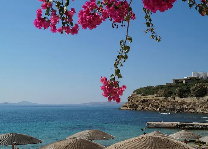 Amazing View 3* Άγιος Στέφανος