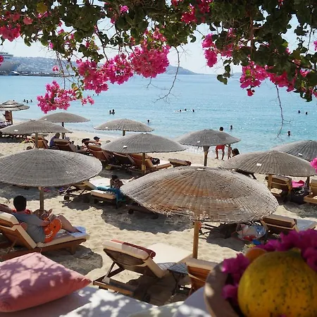 アパートホテル Amazing View アギオス・ステファノス